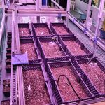 人工气候室植物表型监测系统
