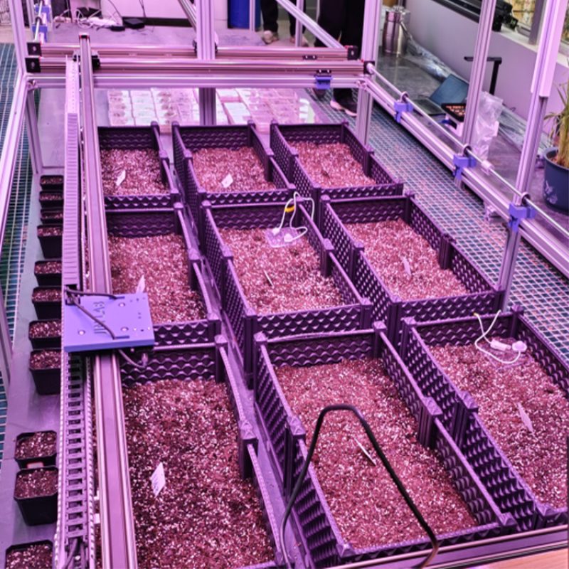 人工气候室植物表型监测系统