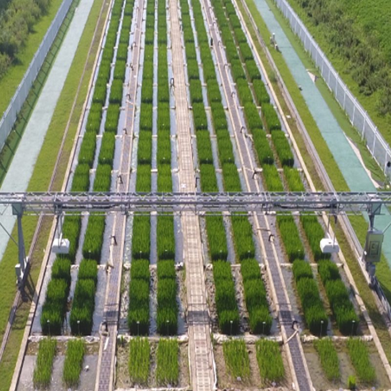 龙门式高通量表型采集分析平台（地轨式）
