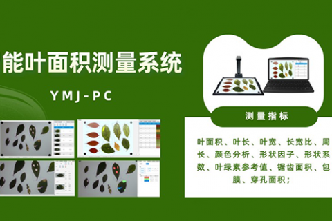 智能叶面积测量系统-高效完成大批量植株叶片表型参数的自动化测量