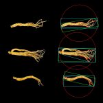 中药材品质分析系统