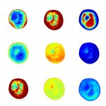高光谱品质分析仪（果实）