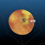 果实三维表型分析系统