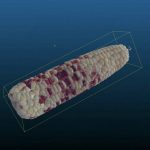 高通量玉米果穗考种分析系统