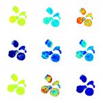 食用菌表型采集分析系统