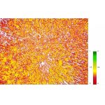 无人作物生长监测分析系统(手飞版)