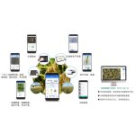 水稻表型检测系统(手机端+PC端)