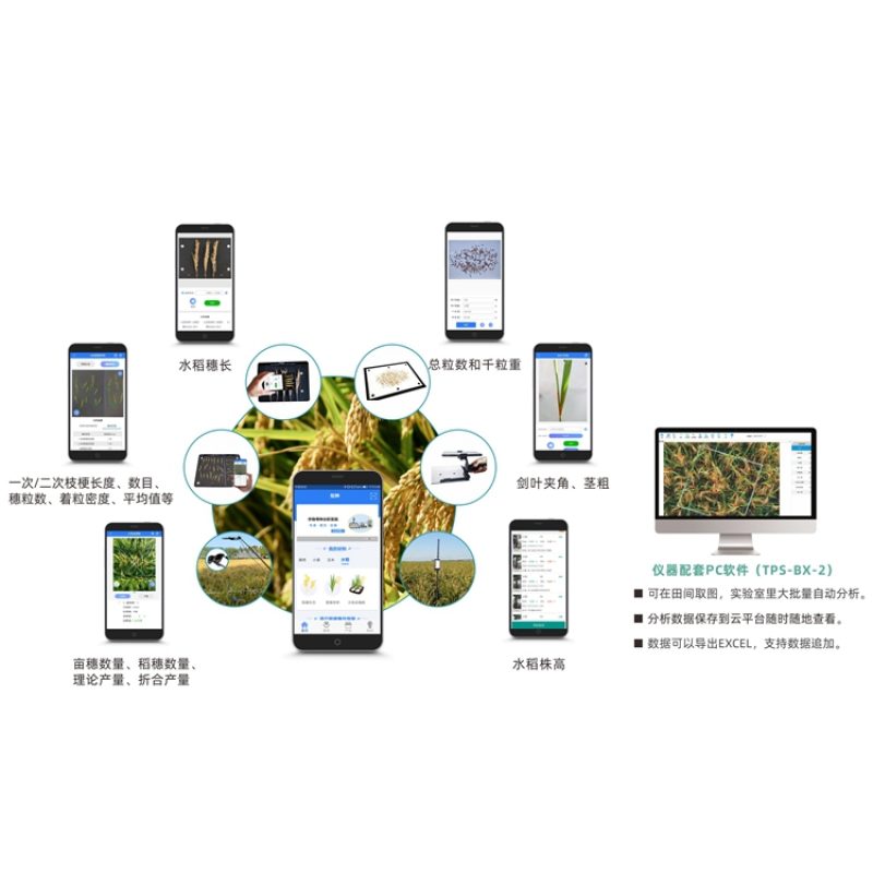 水稻表型检测系统（手机端+PC端）